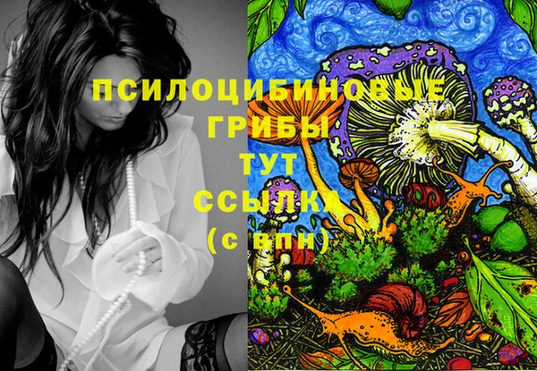 МДПВ Балахна