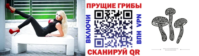 купить  цена  Горбатов  Псилоцибиновые грибы ЛСД 